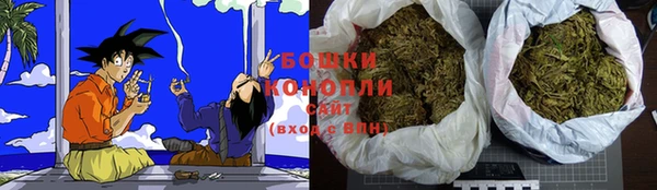 сатива Елабуга