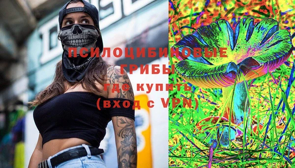 ALPHA PVP Елизово