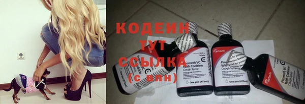 ALPHA PVP Елизово