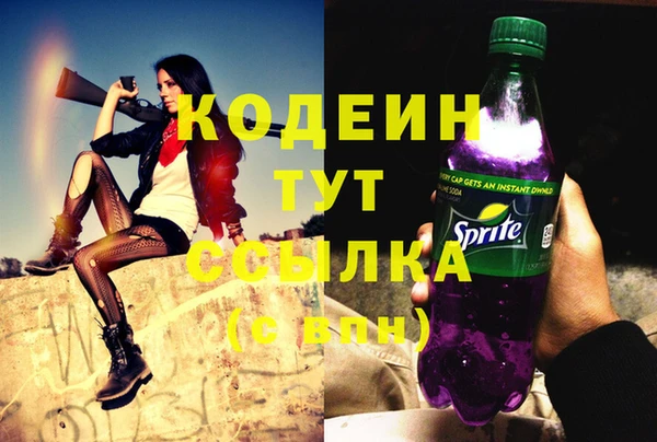 хмурый Сосновоборск