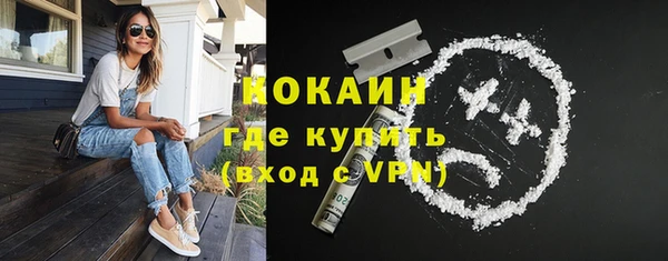 сатива Елабуга