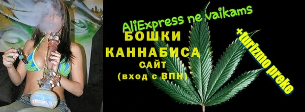 сатива Елабуга