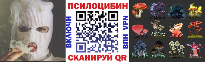 что такое наркотик  shop телеграм  ОМГ ОМГ   Псилоцибиновые грибы Psilocybe  Ишимбай 